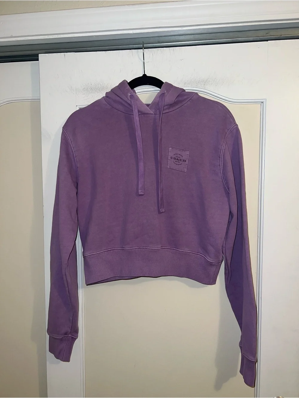 Coach Garment Dye Cropped Hoodie Sweatshirt in Purple